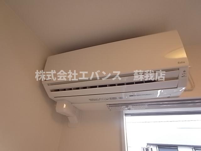 Primroseのその他写真