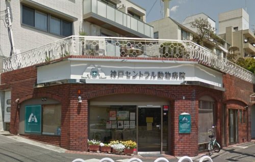 病院　神戸セントラル動物病院（病院）まで284m