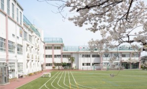 小学校　豊島区立朝日小学校（小学校）まで457m