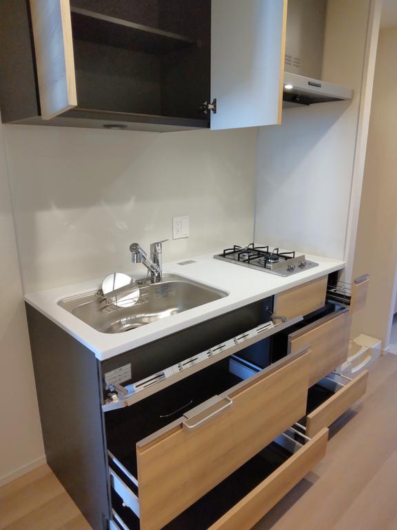 キッチン　システムキッチン・ガスコンロ２口、浄水器内蔵の水栓