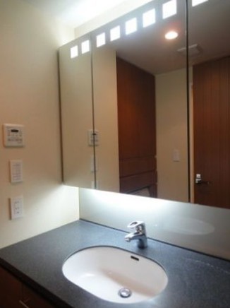 洗面設備　※こちらのお写真は他部屋になり参考写真です