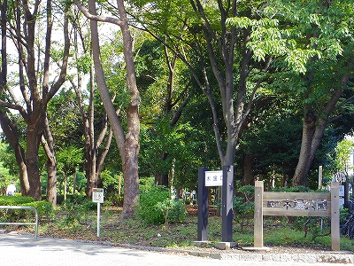 公園　木場親水公園（公園）まで187m