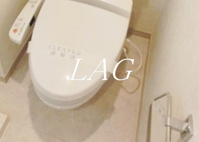 トイレ　トイレです。（同仕様です。）