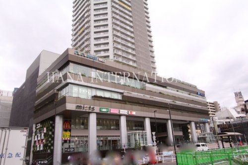 その他　国分寺駅（その他）まで1204m