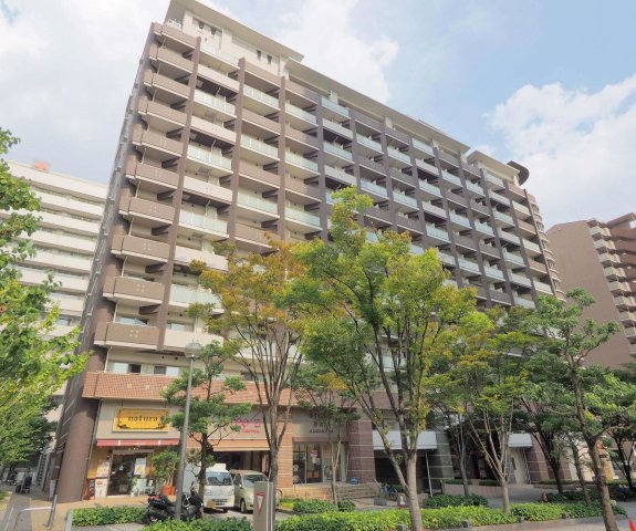 建物外観　ロイヤルパークス桃坂