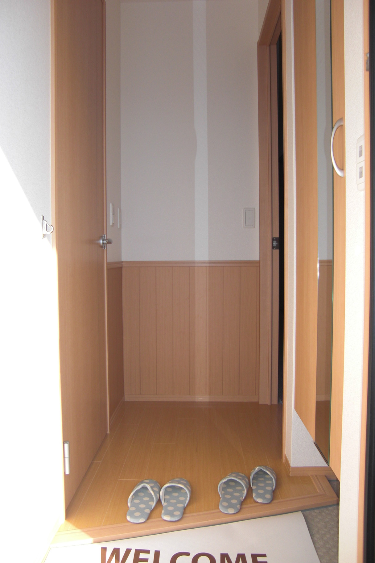 玄関　鏡が付いた大きなシューズボックス付きです。