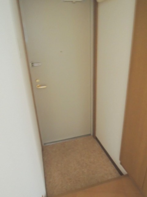 玄関　※同仕様写真