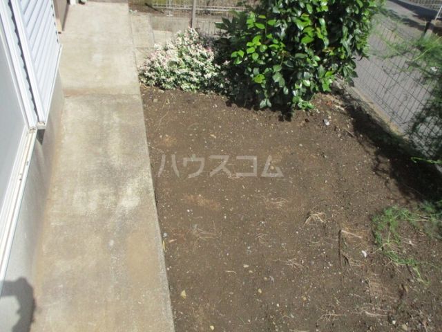 庭
