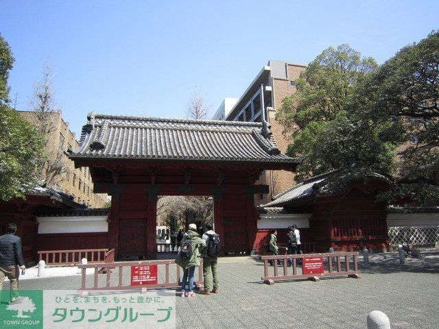 その他　東京大学（その他）まで1000m