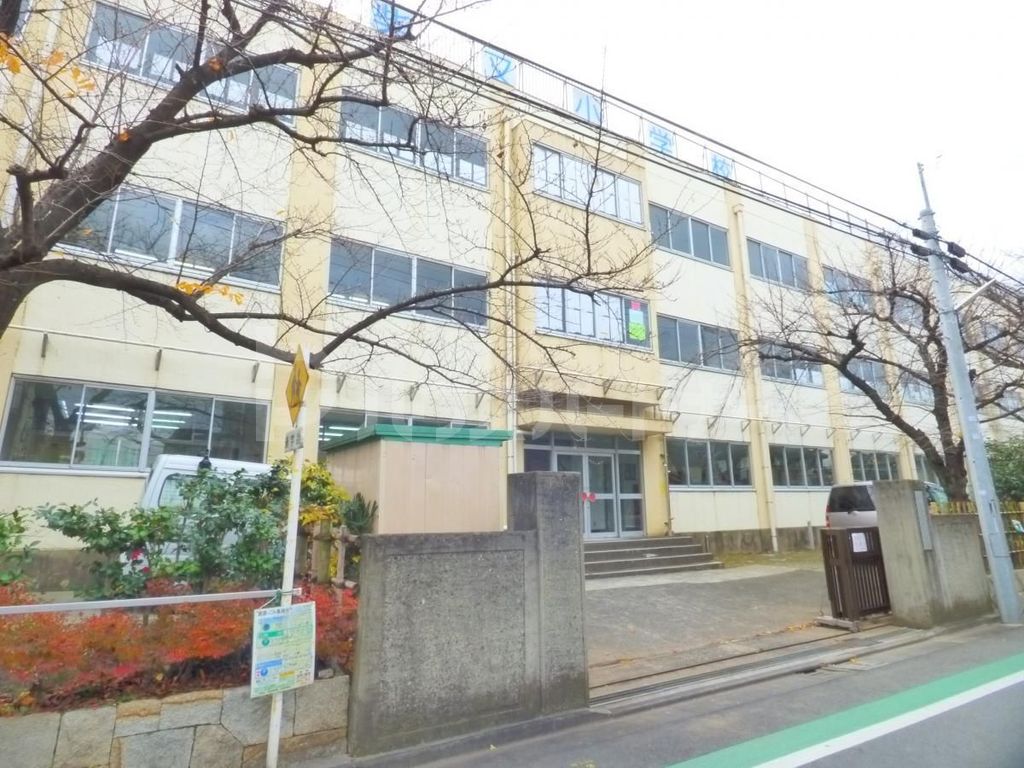 小学校　葛飾区立柴又小学校（小学校）まで590m