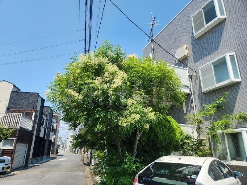 エントランス　物件画像