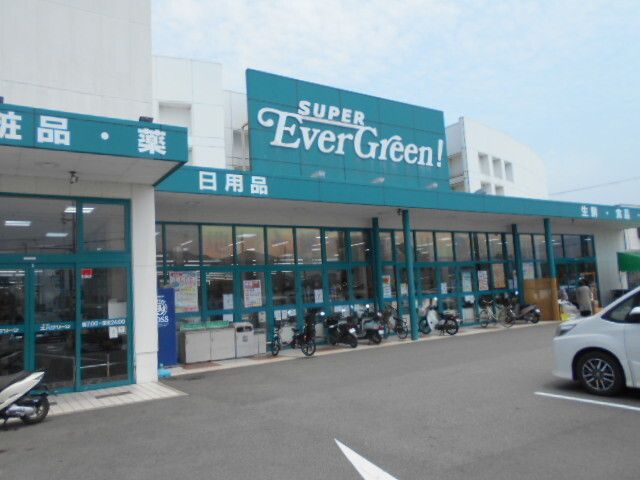 ドラックストア　スーパーエバグリーン湯浅店様（ドラッグストア）まで950m