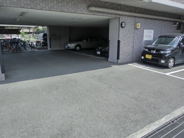 メディオグリシーナFのその他写真