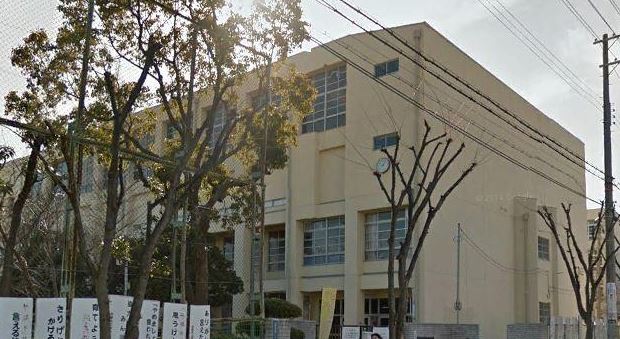 小学校　尼崎市立園田南小学校（小学校）まで444m