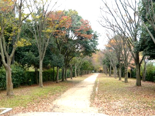 【堺市南区庭代台のマンションの公園】