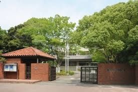 【市川市堀之内のマンションの小学校】