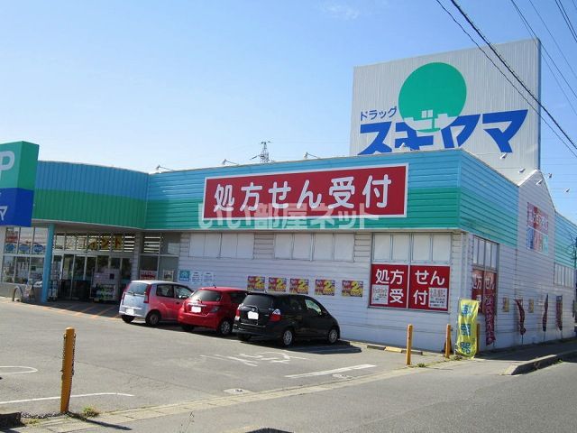 ドラックストア　スギヤマ一色店（ドラッグストア）まで793m