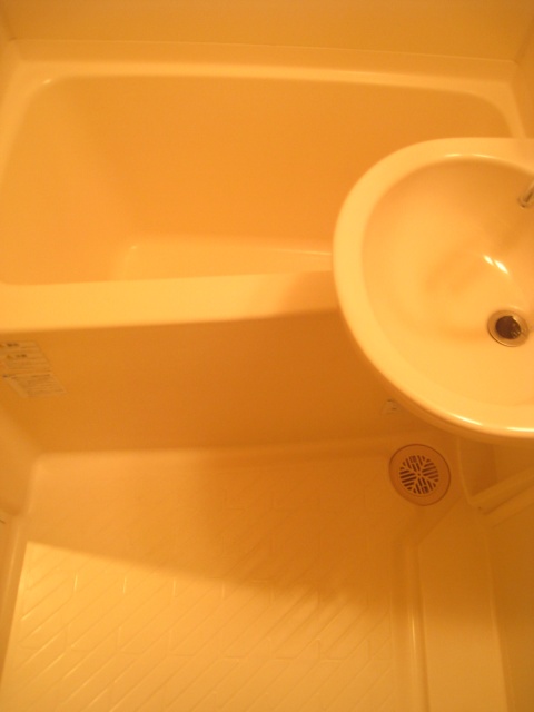 バス・シャワールーム　同物件、別号室のものです。