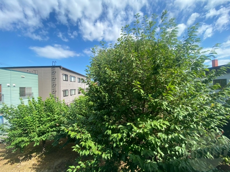 眺望　眺望はこちら。静かな住宅街という印象を受けました。