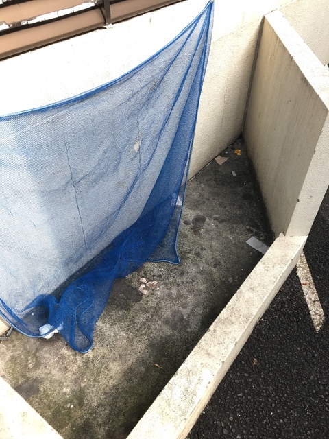 その他　ごみ置き場（その他）まで5m