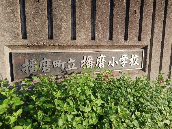 小学校　播磨小学校（小学校）まで400m