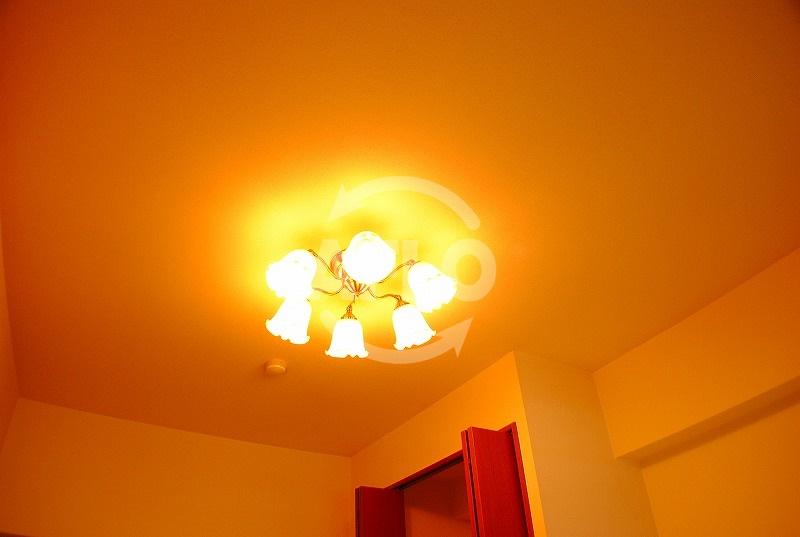 その他共有部分　グランテージ感彩　照明