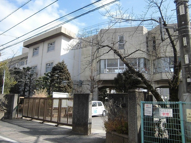 小学校　鬼高小学校（小学校）まで779m