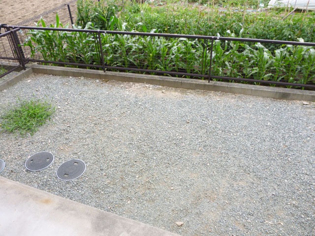 庭　南西向きで日当たり良好☆