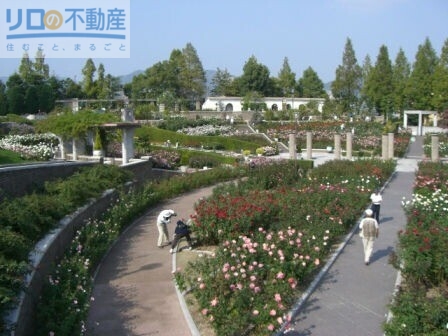 公園　荒牧バラ公園（公園）まで977m