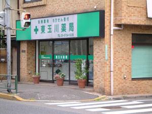 ドラックストア　東玉川薬局（ドラッグストア）まで694m