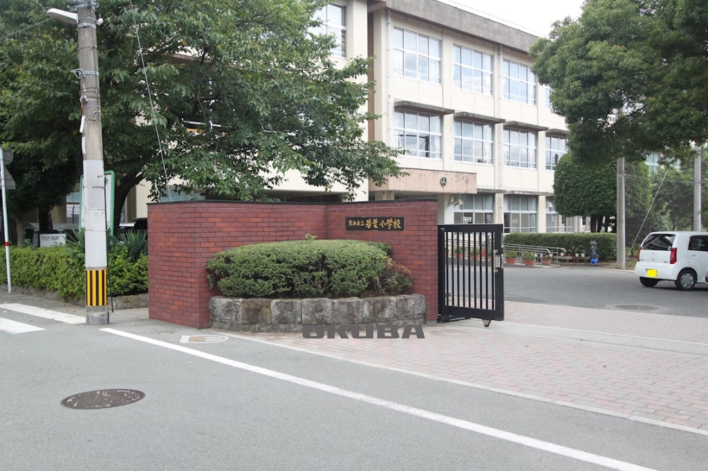 小学校　熊本市立若葉小学校（小学校）まで504m