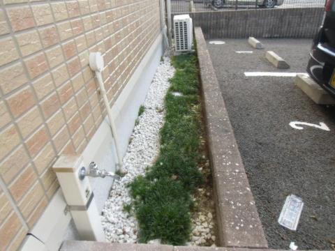 庭　庭（イメージ）