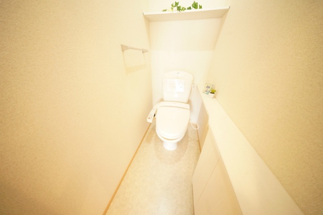 ブルースカイIIのトイレ写真