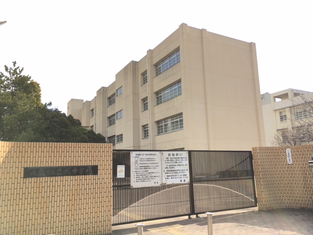 中学校　尼崎市立立花中学校（中学校）まで214m