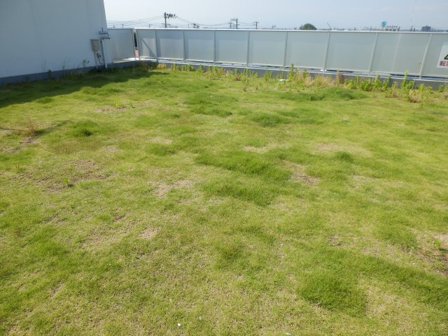 その他共有部分　屋上ドックラン サンプル写真となります。