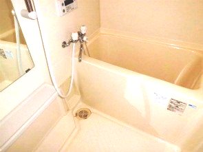 バス・シャワールーム　※他の部屋の写真です。