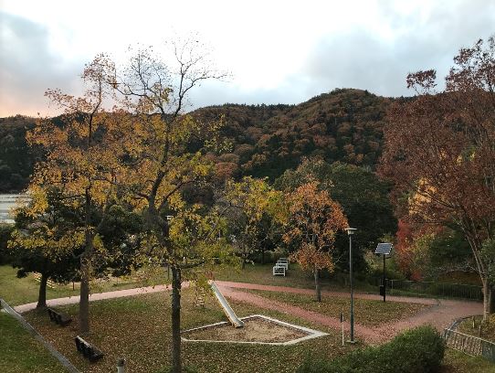 【フォレスト六甲Ａ棟の公園】