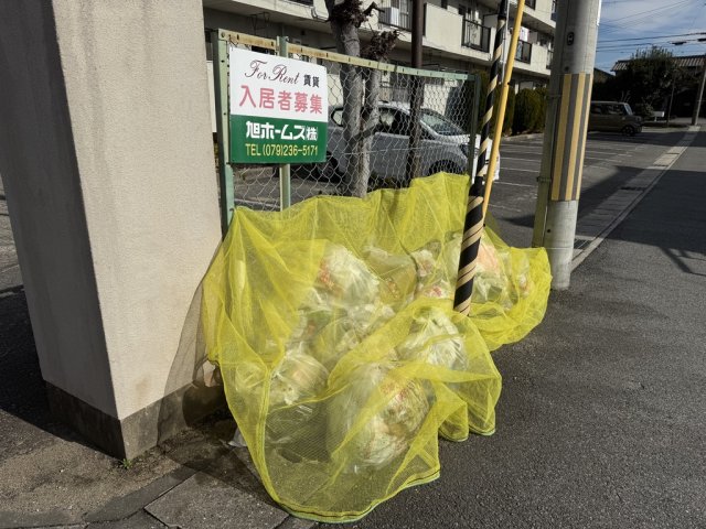 その他　ゴミ置き場（その他）まで10m