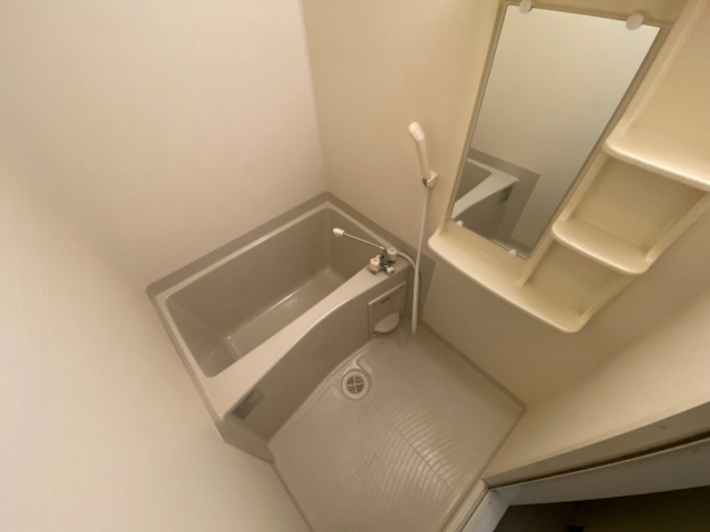 バス・シャワールーム　落ち着いた空間のお風呂です