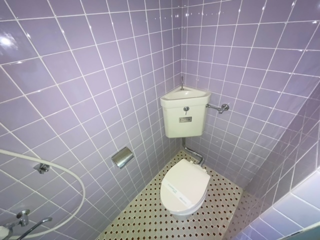 トイレ　写真は違う号室です。