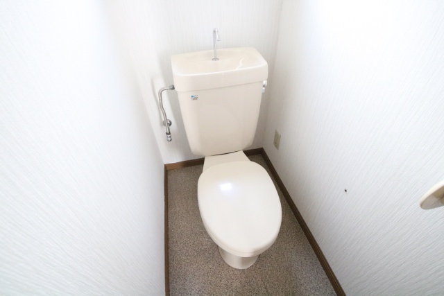 トイレ　他部屋の参考写真です。※反転