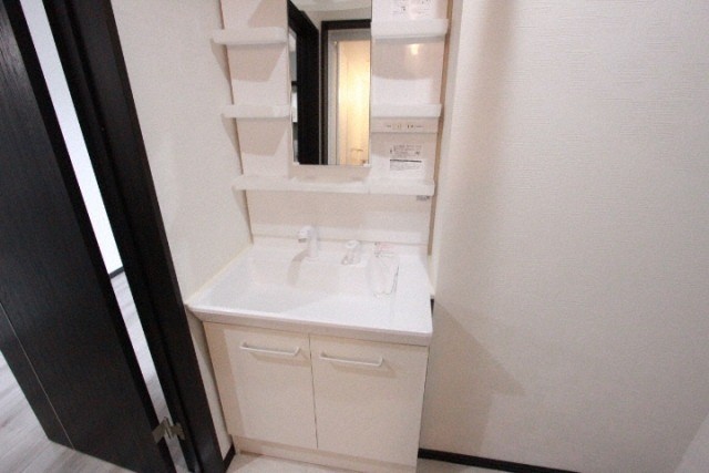 洗面設備　シャワードレッサー付きです！