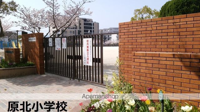 小学校　福岡市立小学校原北小学校（小学校）まで420m