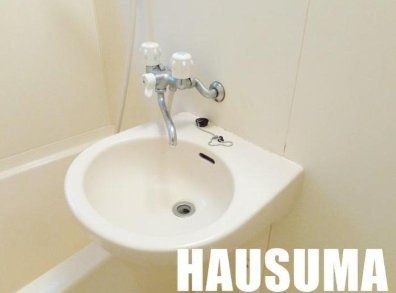 洗面設備　※他号室写真使用