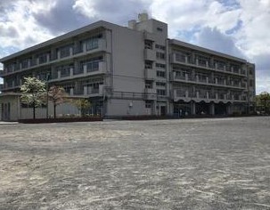 小学校　横浜市立大豆戸小学校（小学校）まで817m