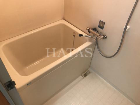 バス・シャワールーム　同物件別部屋のお写真です※現況優先