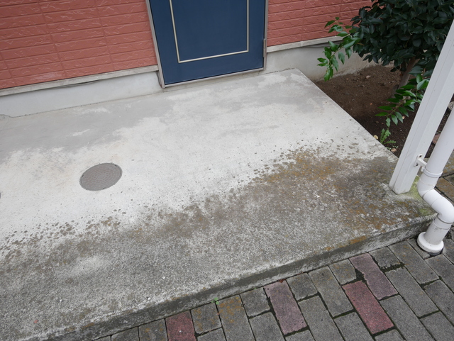 エントランス　★明るいエントランスの写真です★