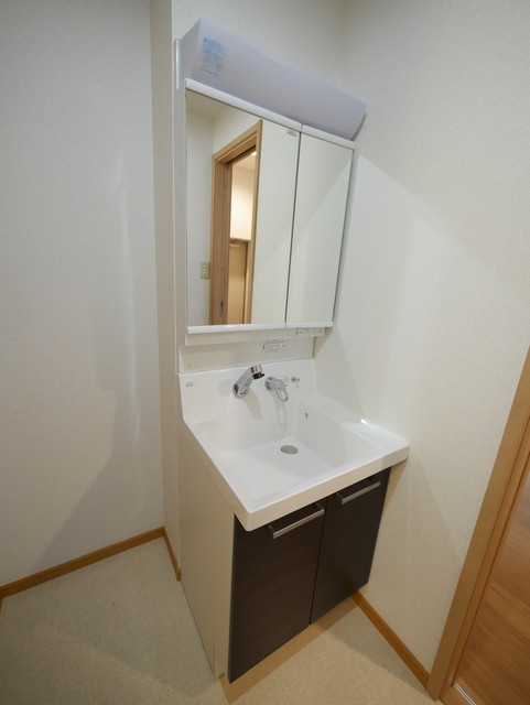 洗面設備　★人気の独立洗面台はシャワー付きです★