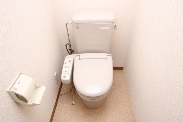 トイレ　同物件、他のお部屋の写真です。