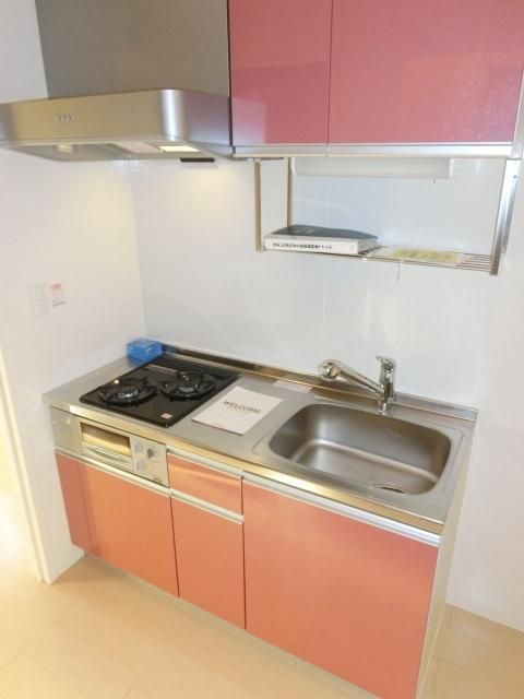 キッチン　ガス２口システムキッチン（同建物内別号室撮影）